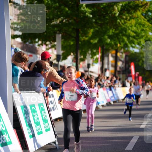 20.09.2026 - PSD Bank Halbmarathon LAZAROV Photography http://msf.ph/oto/10512144 20.09.2026 10:33:25 Laufen  meine-sportfotos.de