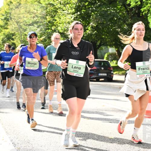 20.09.2026 - PSD Bank Halbmarathon Dr. Thomas Lammeyer http://msf.ph/oto/10512146 20.09.2026 11:07:45 Laufen 4229, 3954, 3953 meine-sportfotos.de