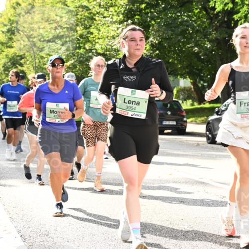 20.09.2026 - PSD Bank Halbmarathon Dr. Thomas Lammeyer http://msf.ph/oto/10512150 20.09.2026 11:07:45 Laufen 422, 13, 3954, 3953 meine-sportfotos.de