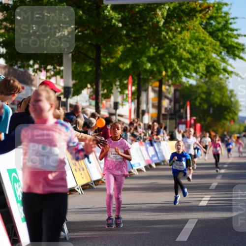 20.09.2026 - PSD Bank Halbmarathon LAZAROV Photography http://msf.ph/oto/10512154 20.09.2026 10:33:26 Laufen 402 meine-sportfotos.de