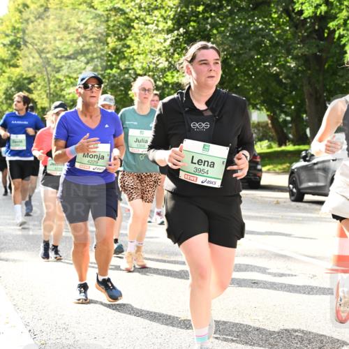 20.09.2026 - PSD Bank Halbmarathon Dr. Thomas Lammeyer http://msf.ph/oto/10512156 20.09.2026 11:07:45 Laufen 4215, 4229, 1359, 3954, 3953 meine-sportfotos.de