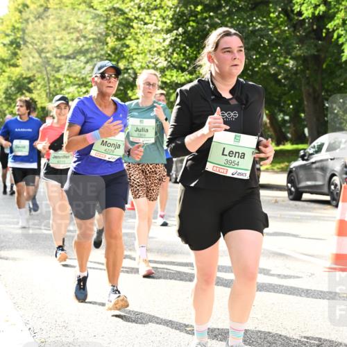 20.09.2026 - PSD Bank Halbmarathon Dr. Thomas Lammeyer http://msf.ph/oto/10512160 20.09.2026 11:07:45 Laufen 4215, 4229, 1359, 3954, 3953 meine-sportfotos.de
