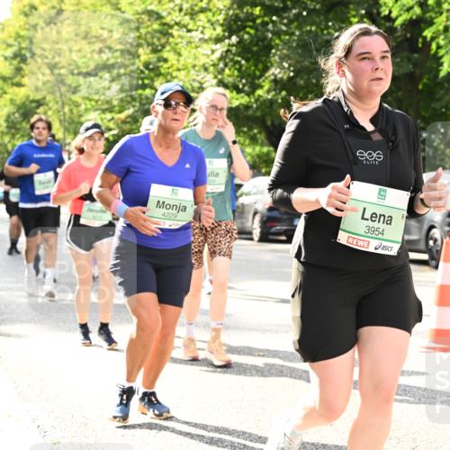20.09.2026 - PSD Bank Halbmarathon Dr. Thomas Lammeyer http://msf.ph/oto/10512169 20.09.2026 11:07:46 Laufen 4229, 359, 3954 meine-sportfotos.de