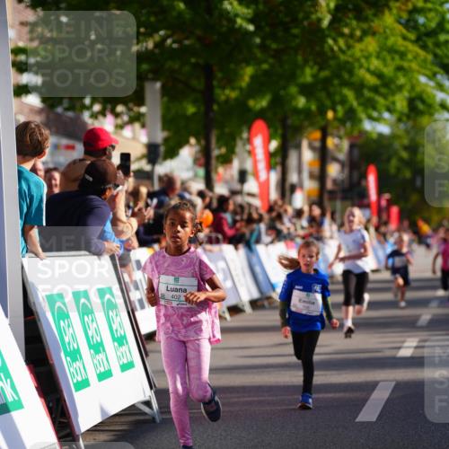 20.09.2026 - PSD Bank Halbmarathon LAZAROV Photography http://msf.ph/oto/10512170 20.09.2026 10:33:27 Laufen  meine-sportfotos.de