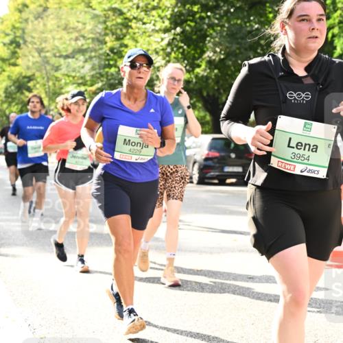 20.09.2026 - PSD Bank Halbmarathon Dr. Thomas Lammeyer http://msf.ph/oto/10512173 20.09.2026 11:07:46 Laufen 4229, 3954 meine-sportfotos.de