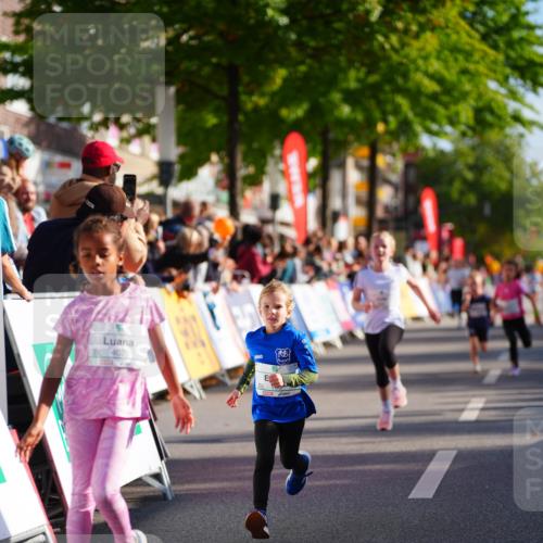 20.09.2026 - PSD Bank Halbmarathon LAZAROV Photography http://msf.ph/oto/10512179 20.09.2026 10:33:28 Laufen 98402 meine-sportfotos.de