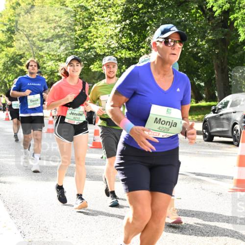 20.09.2026 - PSD Bank Halbmarathon Dr. Thomas Lammeyer http://msf.ph/oto/10512190 20.09.2026 11:07:46 Laufen 4215, 4229 meine-sportfotos.de