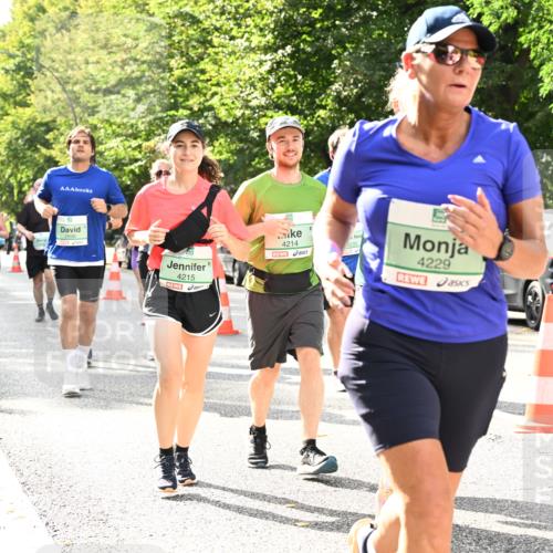 20.09.2026 - PSD Bank Halbmarathon Dr. Thomas Lammeyer http://msf.ph/oto/10512200 20.09.2026 11:07:47 Laufen 4215, 4214, 4229 meine-sportfotos.de