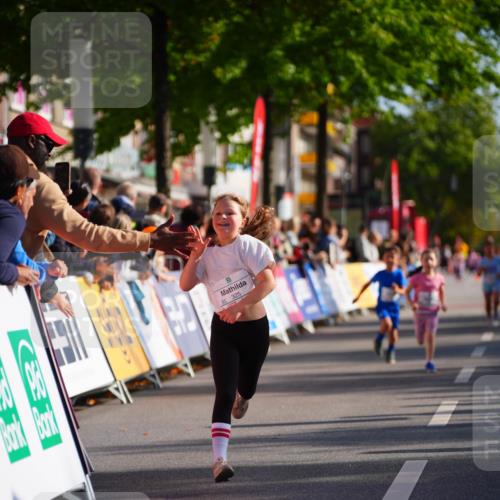 20.09.2026 - PSD Bank Halbmarathon LAZAROV Photography http://msf.ph/oto/10512229 20.09.2026 10:33:37 Laufen 325 meine-sportfotos.de