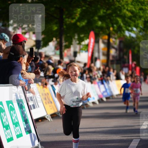 20.09.2026 - PSD Bank Halbmarathon LAZAROV Photography http://msf.ph/oto/10512241 20.09.2026 10:33:37 Laufen  meine-sportfotos.de