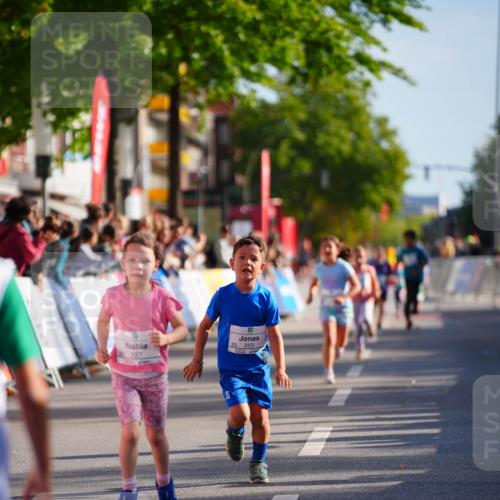 20.09.2026 - PSD Bank Halbmarathon LAZAROV Photography http://msf.ph/oto/10512274 20.09.2026 10:33:41 Laufen 227, 253 meine-sportfotos.de