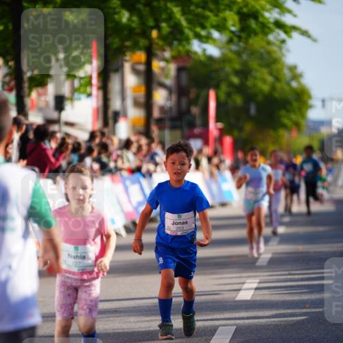 20.09.2026 - PSD Bank Halbmarathon LAZAROV Photography http://msf.ph/oto/10512286 20.09.2026 10:33:42 Laufen 253 meine-sportfotos.de
