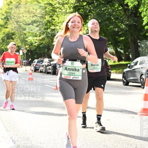 20.09.2026 - PSD Bank Halbmarathon Dr. Thomas Lammeyer http://msf.ph/oto/10512347 20.09.2026 11:07:53 Laufen 731, 1244, 3908 meine-sportfotos.de