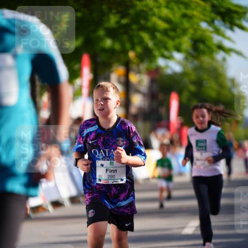 20.09.2026 - PSD Bank Halbmarathon LAZAROV Photography http://msf.ph/oto/10512348 20.09.2026 10:33:55 Laufen 290 meine-sportfotos.de