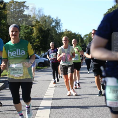 20.09.2026 - PSD Bank Halbmarathon Jannik Wohlers http://msf.ph/oto/10512423 20.09.2026 10:42:54 Laufen 4205, 3959 meine-sportfotos.de