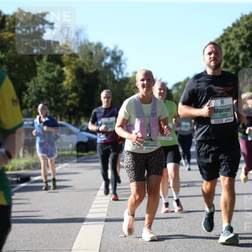 20.09.2026 - PSD Bank Halbmarathon Jannik Wohlers http://msf.ph/oto/10512436 20.09.2026 10:42:56 Laufen 3959, 1389, 1388 meine-sportfotos.de
