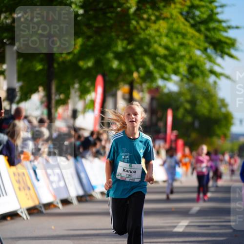 20.09.2026 - PSD Bank Halbmarathon LAZAROV Photography http://msf.ph/oto/10512466 20.09.2026 10:34:05 Laufen 196 meine-sportfotos.de
