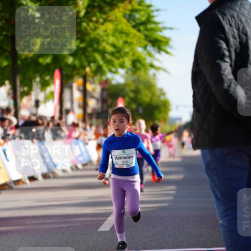 20.09.2026 - PSD Bank Halbmarathon LAZAROV Photography http://msf.ph/oto/10512490 20.09.2026 10:34:09 Laufen 5, 376 meine-sportfotos.de