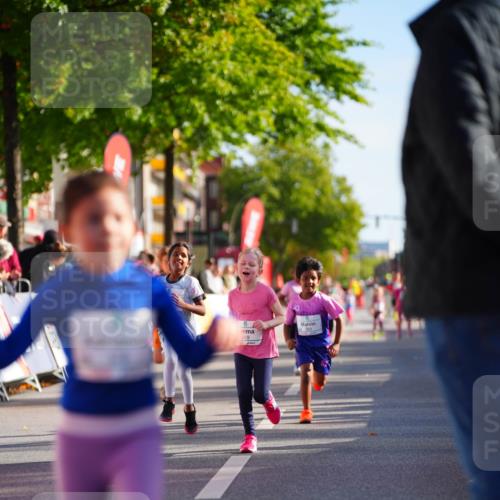 20.09.2026 - PSD Bank Halbmarathon LAZAROV Photography http://msf.ph/oto/10512510 20.09.2026 10:34:10 Laufen 269 meine-sportfotos.de