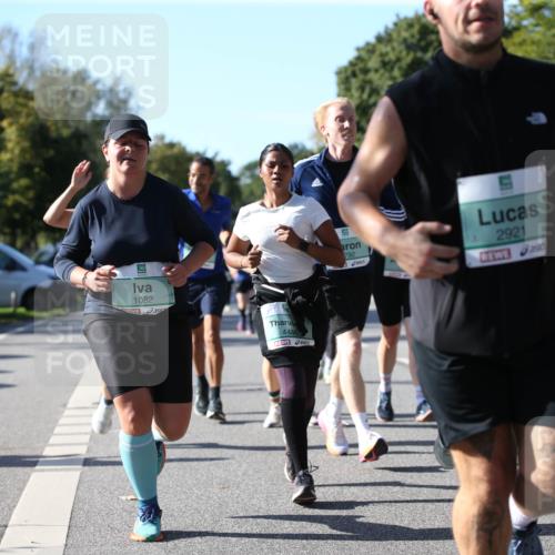 20.09.2026 - PSD Bank Halbmarathon Jannik Wohlers http://msf.ph/oto/10512581 20.09.2026 10:43:21 Laufen 1082, 4486, 792, 2921 meine-sportfotos.de