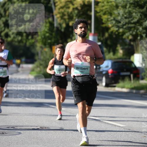 20.09.2026 - PSD Bank Halbmarathon Jannik Wohlers http://msf.ph/oto/10512658 20.09.2026 10:32:06 Laufen 3967 meine-sportfotos.de