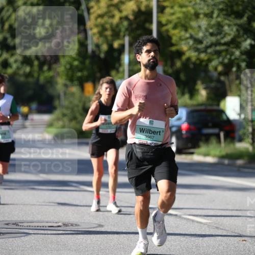 20.09.2026 - PSD Bank Halbmarathon Jannik Wohlers http://msf.ph/oto/10512669 20.09.2026 10:32:06 Laufen 3967 meine-sportfotos.de