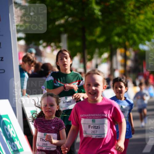 20.09.2026 - PSD Bank Halbmarathon LAZAROV Photography http://msf.ph/oto/10512701 20.09.2026 10:34:29 Laufen 268, 270, 267, 3 meine-sportfotos.de