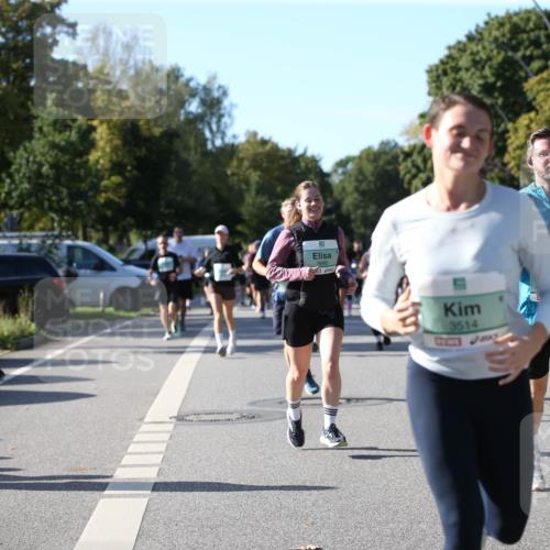 20.09.2026 - PSD Bank Halbmarathon Jannik Wohlers http://msf.ph/oto/10512708 20.09.2026 10:43:37 Laufen 3666, 3514 meine-sportfotos.de