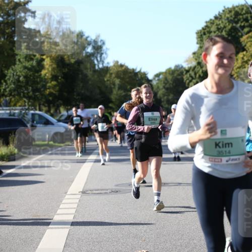 20.09.2026 - PSD Bank Halbmarathon Jannik Wohlers http://msf.ph/oto/10512712 20.09.2026 10:43:37 Laufen 3666, 3514 meine-sportfotos.de