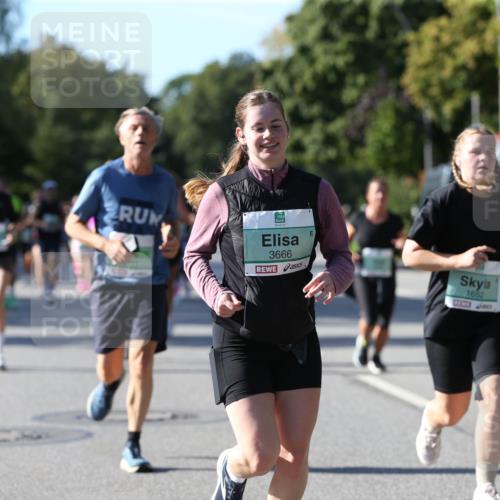 20.09.2026 - PSD Bank Halbmarathon Jannik Wohlers http://msf.ph/oto/10512716 20.09.2026 10:43:38 Laufen 3666, 1652 meine-sportfotos.de
