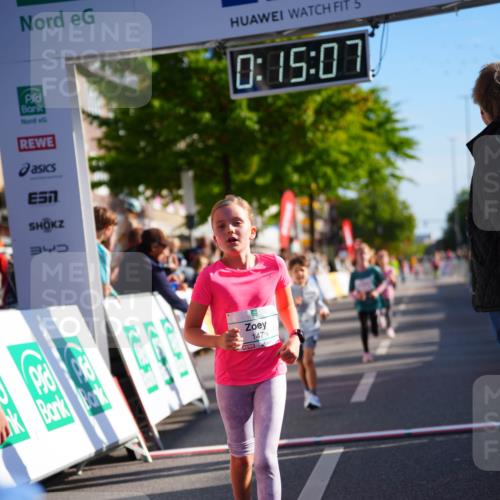 20.09.2026 - PSD Bank Halbmarathon LAZAROV Photography http://msf.ph/oto/10512728 20.09.2026 10:34:31 Laufen 340, 147, 5, 0, 15, 07 meine-sportfotos.de