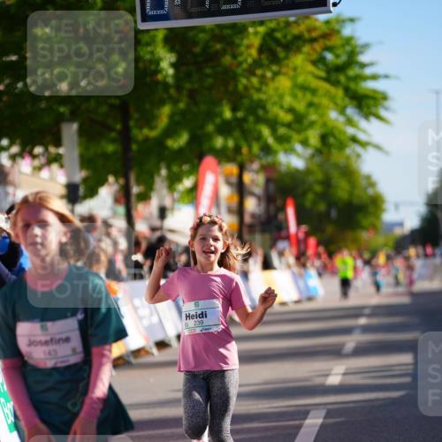 20.09.2026 - PSD Bank Halbmarathon LAZAROV Photography http://msf.ph/oto/10512772 20.09.2026 10:34:36 Laufen 143, 239 meine-sportfotos.de