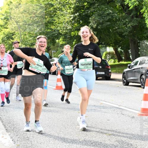 20.09.2026 - PSD Bank Halbmarathon Dr. Thomas Lammeyer http://msf.ph/oto/10512804 20.09.2026 11:08:07 Laufen 3701, 3700, 4189, 4613, 4188 meine-sportfotos.de
