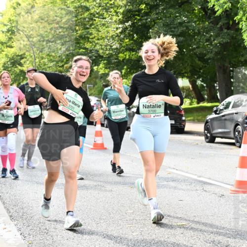 20.09.2026 - PSD Bank Halbmarathon Dr. Thomas Lammeyer http://msf.ph/oto/10512811 20.09.2026 11:08:08 Laufen 3071, 3701, 4189, 3700 meine-sportfotos.de