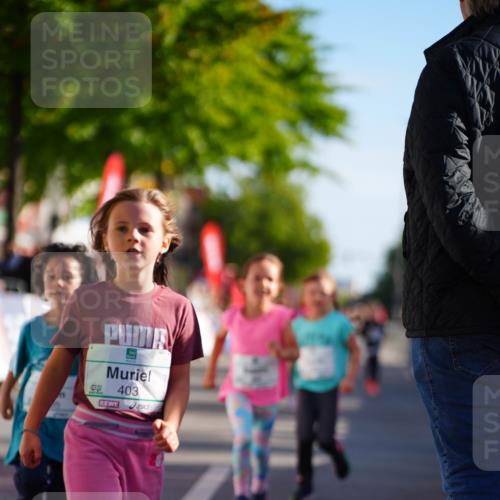 20.09.2026 - PSD Bank Halbmarathon LAZAROV Photography http://msf.ph/oto/10512867 20.09.2026 10:34:55 Laufen 403 meine-sportfotos.de