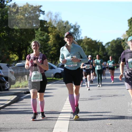 20.09.2026 - PSD Bank Halbmarathon Jannik Wohlers http://msf.ph/oto/10512884 20.09.2026 10:44:02 Laufen 2030, 1512, 3799 meine-sportfotos.de