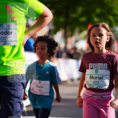20.09.2026 - PSD Bank Halbmarathon LAZAROV Photography http://msf.ph/oto/10512894 20.09.2026 10:34:55 Laufen 400, 195, 403 meine-sportfotos.de
