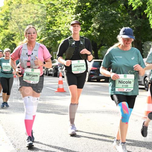 20.09.2026 - PSD Bank Halbmarathon Dr. Thomas Lammeyer http://msf.ph/oto/10512904 20.09.2026 11:08:10 Laufen 3026, 3071, 4188, 4189 meine-sportfotos.de