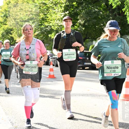 20.09.2026 - PSD Bank Halbmarathon Dr. Thomas Lammeyer http://msf.ph/oto/10512906 20.09.2026 11:08:10 Laufen 3026, 3071, 4188, 4189 meine-sportfotos.de