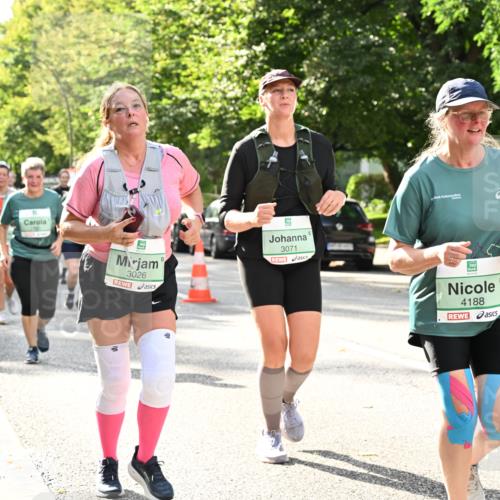 20.09.2026 - PSD Bank Halbmarathon Dr. Thomas Lammeyer http://msf.ph/oto/10512914 20.09.2026 11:08:10 Laufen 3026, 3071, 4188, 4189 meine-sportfotos.de
