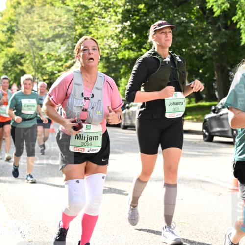 20.09.2026 - PSD Bank Halbmarathon Dr. Thomas Lammeyer http://msf.ph/oto/10512922 20.09.2026 11:08:11 Laufen 3026, 3071, 4188 meine-sportfotos.de