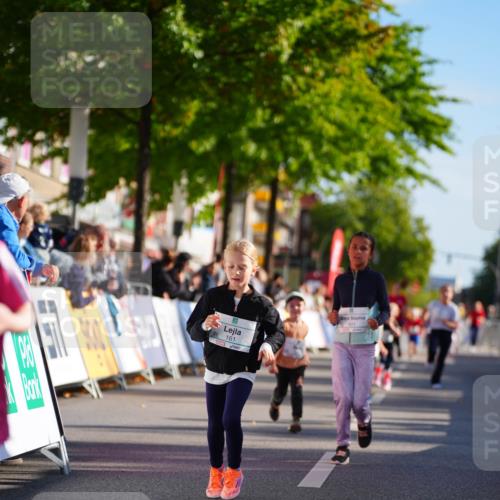 20.09.2026 - PSD Bank Halbmarathon LAZAROV Photography http://msf.ph/oto/10512956 20.09.2026 10:35:02 Laufen  meine-sportfotos.de