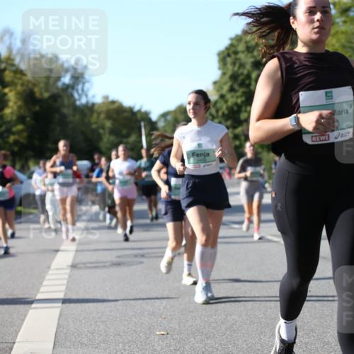 20.09.2026 - PSD Bank Halbmarathon Jannik Wohlers http://msf.ph/oto/10513008 20.09.2026 10:44:21 Laufen 3409 meine-sportfotos.de