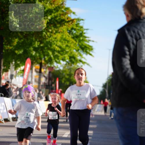 20.09.2026 - PSD Bank Halbmarathon LAZAROV Photography http://msf.ph/oto/10513015 20.09.2026 10:35:08 Laufen 5, 334, 163 meine-sportfotos.de