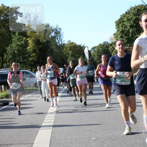 20.09.2026 - PSD Bank Halbmarathon Jannik Wohlers http://msf.ph/oto/10513017 20.09.2026 10:44:22 Laufen 2960 meine-sportfotos.de