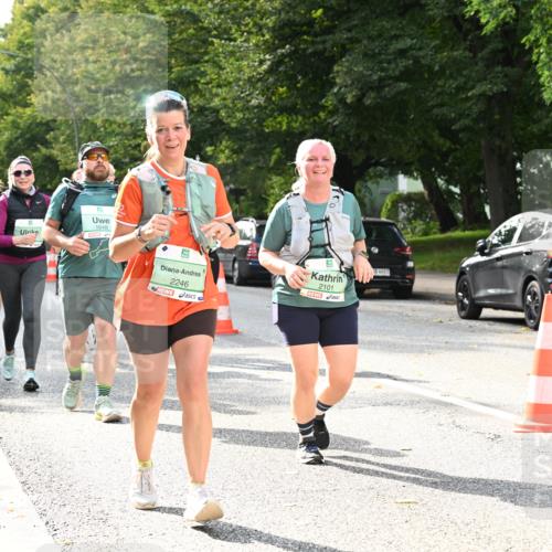 20.09.2026 - PSD Bank Halbmarathon Dr. Thomas Lammeyer http://msf.ph/oto/10513024 20.09.2026 11:08:14 Laufen 1648, 1320, 2246, 2101 meine-sportfotos.de