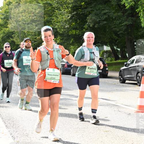 20.09.2026 - PSD Bank Halbmarathon Dr. Thomas Lammeyer http://msf.ph/oto/10513029 20.09.2026 11:08:14 Laufen 3474, 1648, 2246, 2101 meine-sportfotos.de