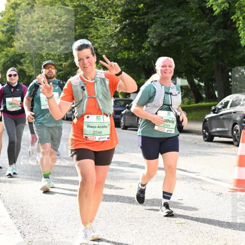 20.09.2026 - PSD Bank Halbmarathon Dr. Thomas Lammeyer http://msf.ph/oto/10513034 20.09.2026 11:08:14 Laufen 3474, 2246, 2101 meine-sportfotos.de