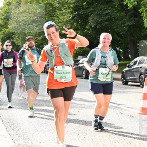 20.09.2026 - PSD Bank Halbmarathon Dr. Thomas Lammeyer http://msf.ph/oto/10513039 20.09.2026 11:08:15 Laufen 2246, 2101 meine-sportfotos.de