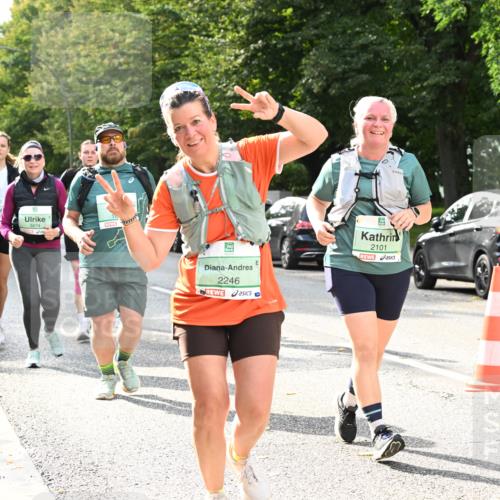 20.09.2026 - PSD Bank Halbmarathon Dr. Thomas Lammeyer http://msf.ph/oto/10513042 20.09.2026 11:08:15 Laufen 3474, 2246, 2101 meine-sportfotos.de